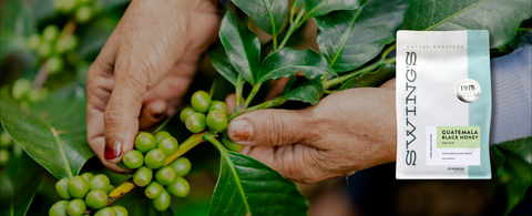 M.E. Swing Coffee Roasters gallery