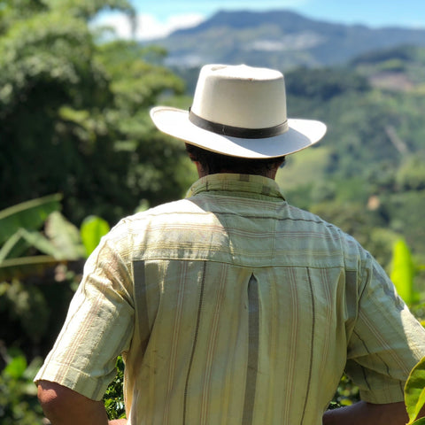 Man wearing a hat and light shirt overlooking a lush green landscape with mountains.