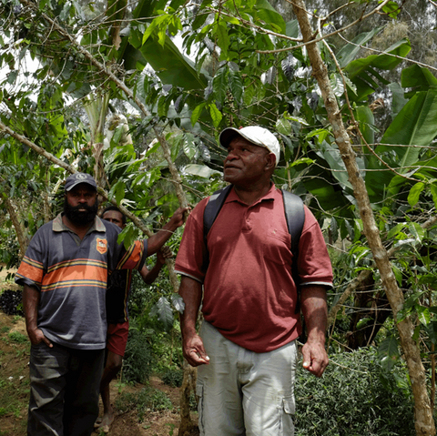 Two men walking through a forested area with trees and greenery around them.