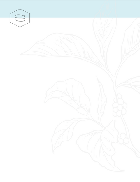 M.E. Swing Coffee Roasters gallery