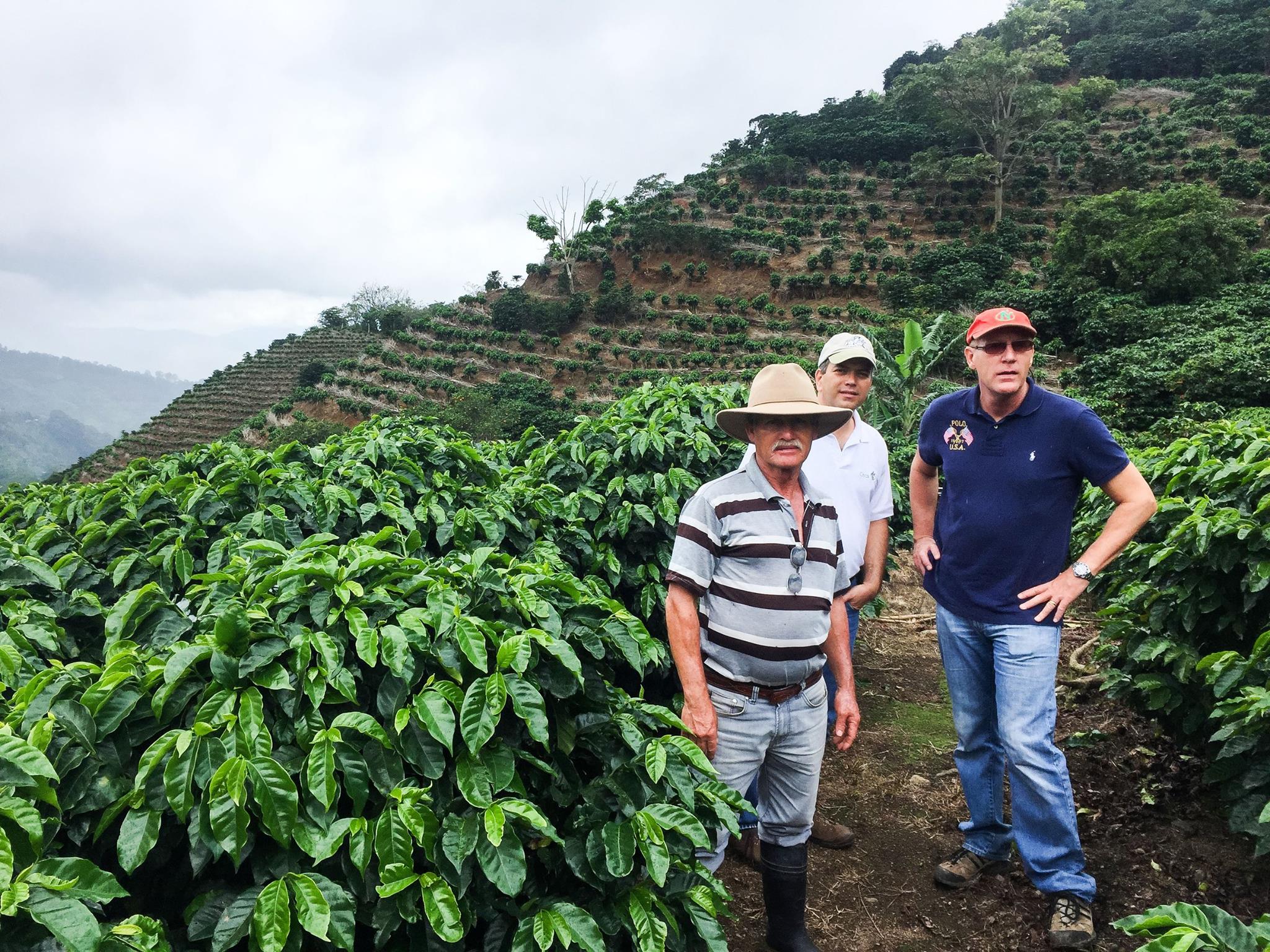 High Mountain – Swing's Coffee Roasters